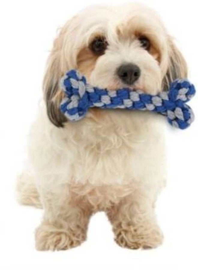 Fun Affairs Cotton Rope Toy for Small, Medium Dog | Bone Shaped Rope Toy, 1 PC (Color May Vary) - Image 4